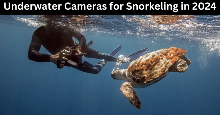 Underwater Cameras for Snorkeling in 2024